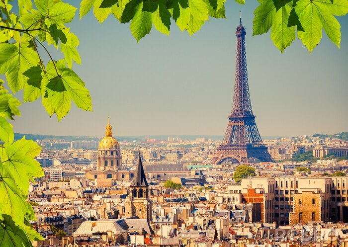 Canvas Groene bladeren en panorama van Parijs