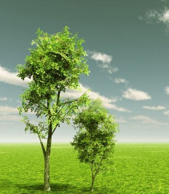 Canvas Groene bomen tegen de lucht