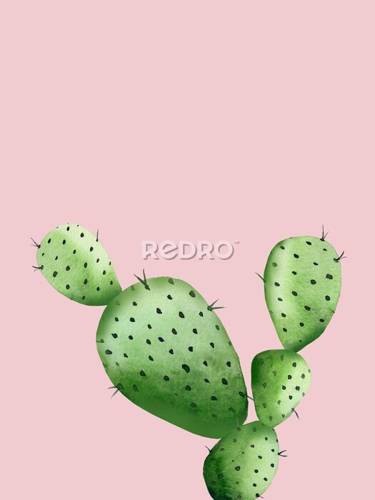 Canvas Groene cactus op lichtroze achtergrond