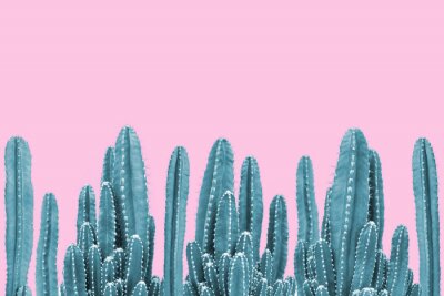 Canvas Groene cactussen op roze achtergrond