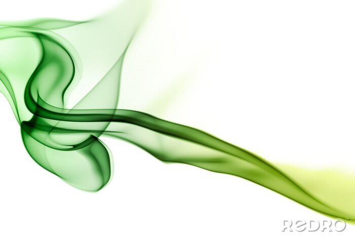 Canvas Groene rook op witte achtergrond