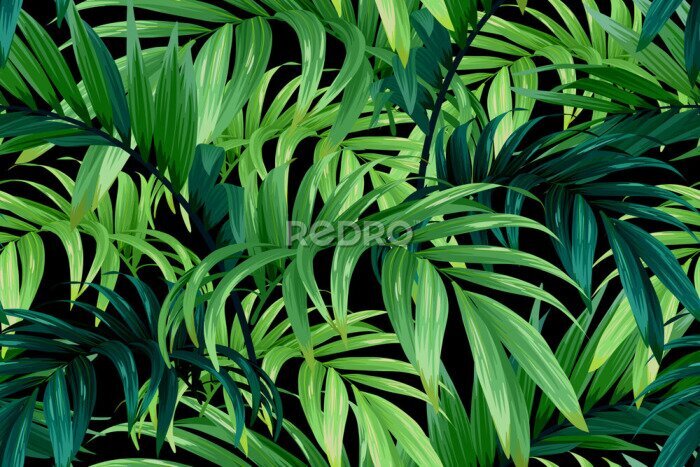 Canvas Groene tropische bladeren op zwarte achtergrond