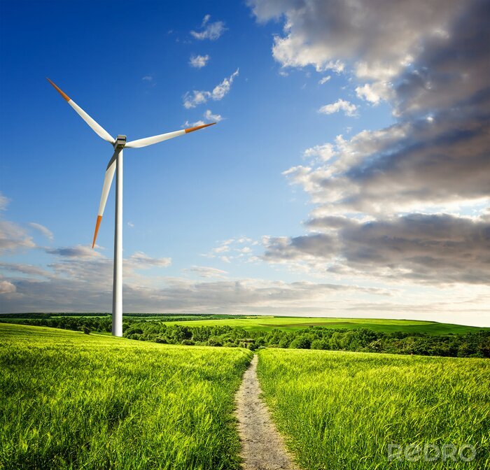 Canvas Groene velden en een moderne windmolen