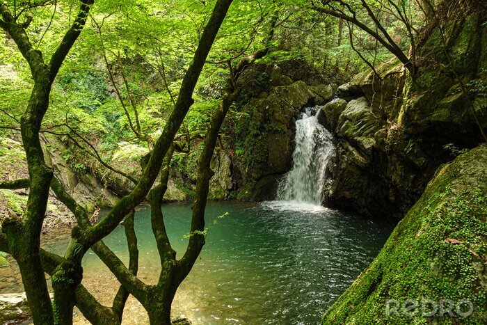 Canvas Groene waterval in Japan