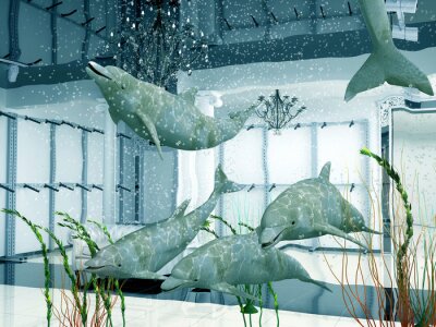 Canvas groep van dolfijnen in het moderne winkel interieur (3D)