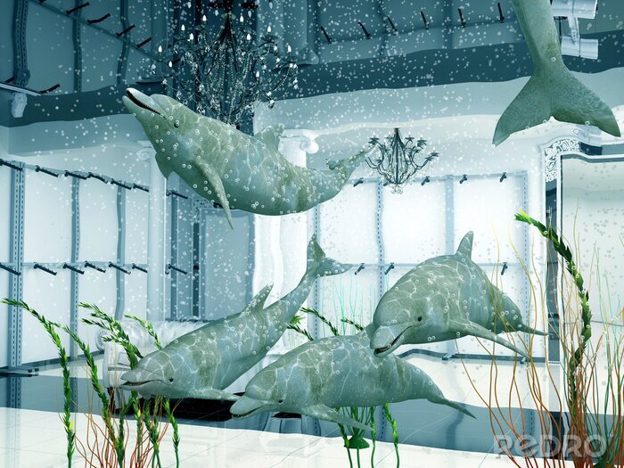 Canvas groep van dolfijnen in het moderne winkel interieur (3D)