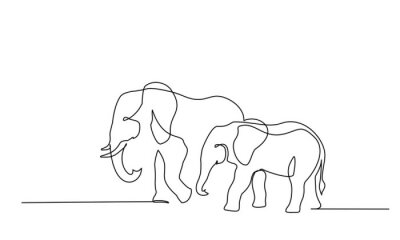 Grote olifant en kleine babyolifant