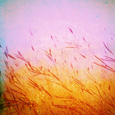 Canvas Grunge grasveld op doek textuur