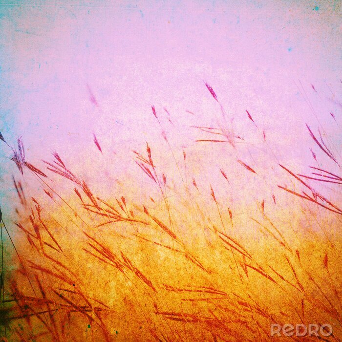 Canvas Grunge grasveld op doek textuur