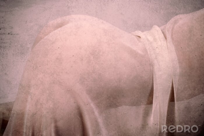 Canvas Grunge stijl close-up naakte vrouw afbeelding