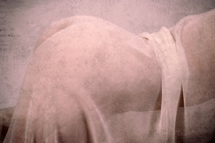 Canvas Grunge stijl close-up naakte vrouw afbeelding