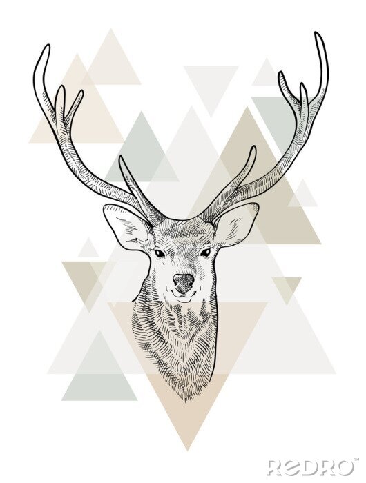 Canvas Hand drawn head of deer. Scandinavian style