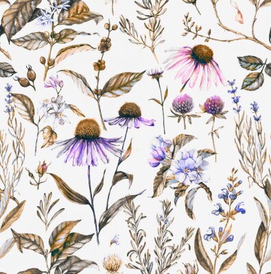 -Hand getekende aquarel naadloos botanische patroon met verschillende planten. Herhaalde natuurlijke achtergrond met weide en geneeskrachtige planten: echinacea, koffie, lavendel etc.