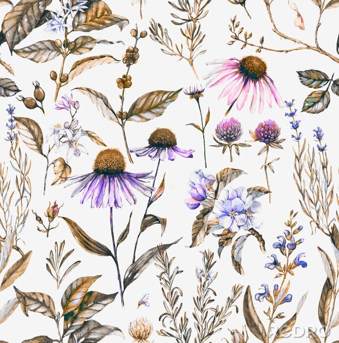 Canvas -Hand getekende aquarel naadloos botanische patroon met verschillende planten. Herhaalde natuurlijke achtergrond met weide en geneeskrachtige planten: echinacea, koffie, lavendel etc.
