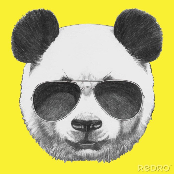 Canvas Hand getrokken portret van Panda met zonnebril. Vector geïsoleerde elementen.