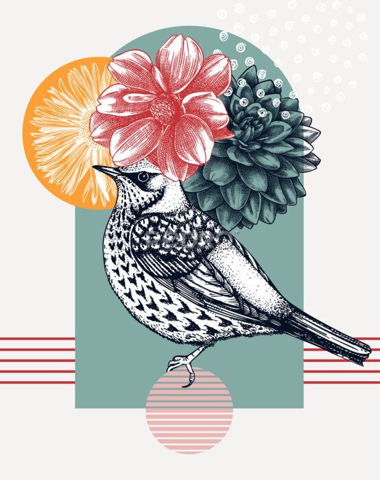 Canvas Hand-sketched  Fieldfare vector illustration. Perching bird with autumn flowers. Collage style illustration with florals, geometric shapes, and abstract elements. 