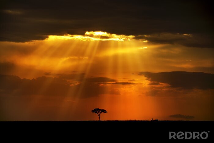 Canvas Heavenly stralen op Afrikaans landschap