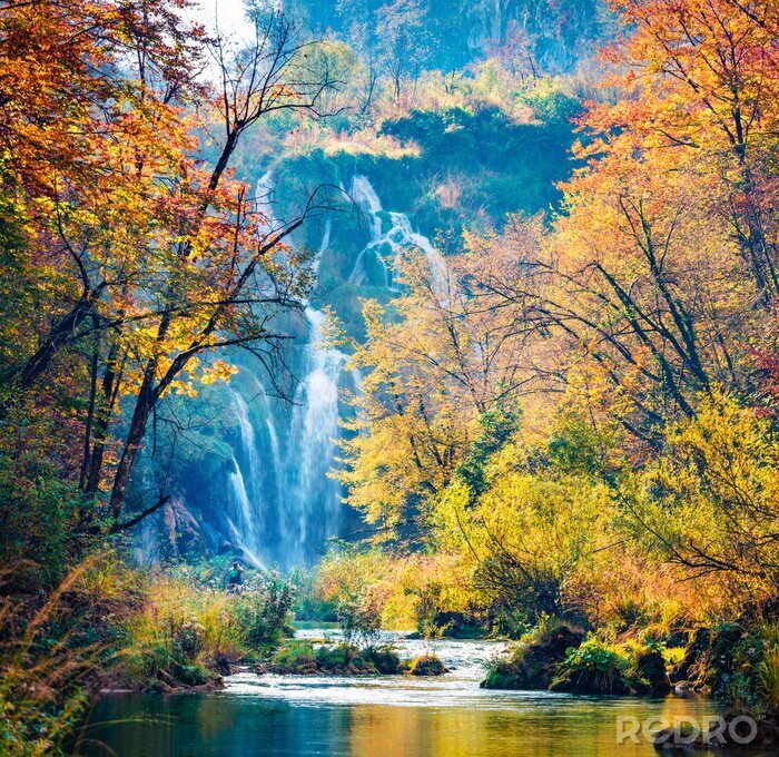 Canvas Herfst bos en waterval