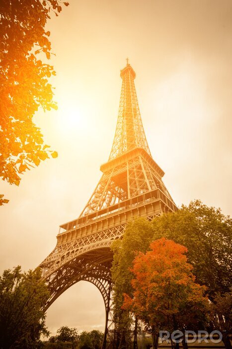 Canvas Herfst in Parijs