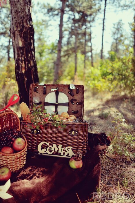 Canvas herfst nog leven in het bos picknick mand met fruit en brea