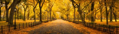 Canvas Herfst panorama in Central Park, New York City, Verenigde Staten