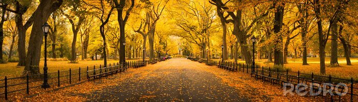 Canvas Herfst panorama in Central Park, New York City, Verenigde Staten
