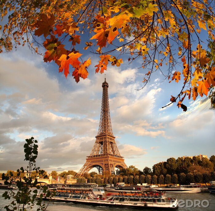 Canvas Herfstbladeren in Parijs
