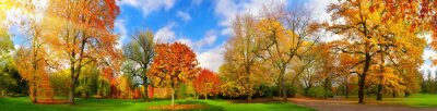 Herfstkleuren in een pittoresk park