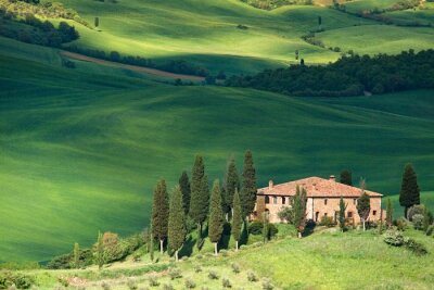 Canvas Het groene landschap van Toscane