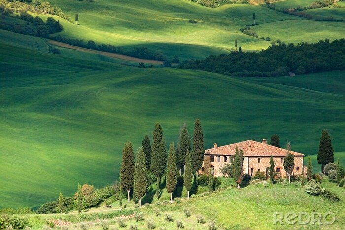 Canvas Het groene landschap van Toscane