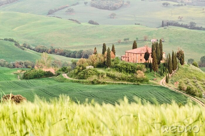Canvas Het landschap van Toscanië - belvedere