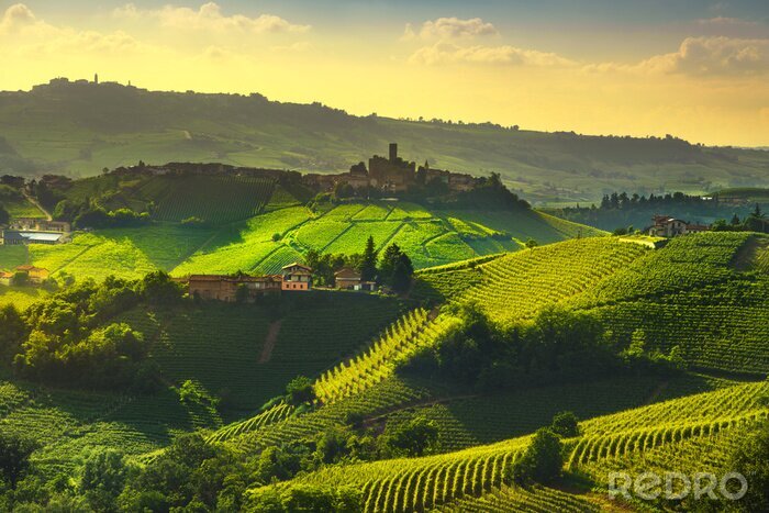 Canvas Het uitzicht van de Langhewijngaarden, Castiglione Falletto en La Morra, Piemonte, Italië Europa.