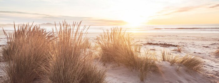 Canvas Het zonnige strand van Nieuw-Zeeland