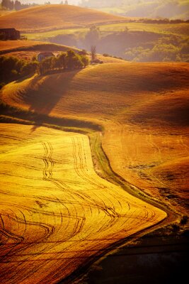 Heuvels van Toscane in gouden kleur