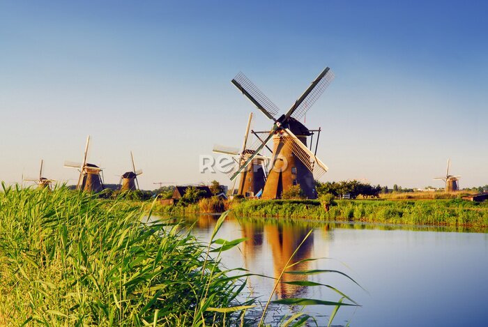 Canvas Hollands landschap met molens