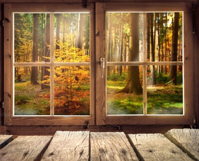 Houten hut met uitzicht op een herfst bos
