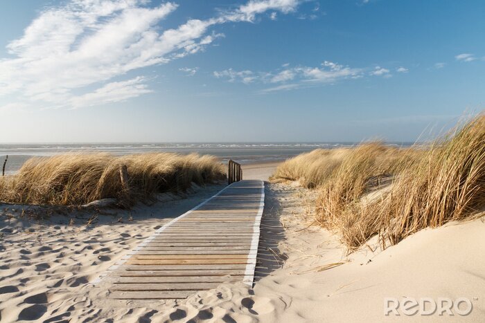Canvas Houten loopbrug naar het strand