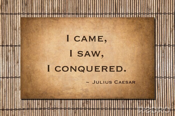 Canvas I came, I saw, I conquered. Caesar's famous quote.