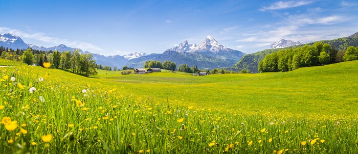 Canvas Idyllisch landschap in de Alpen met bloeiende weiden in de zomer