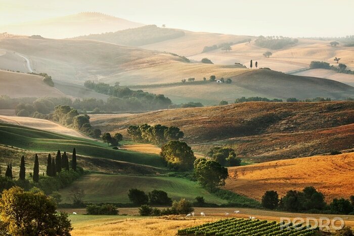 Canvas Italiaanse platteland in Toscane