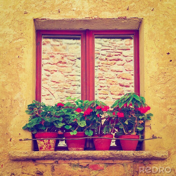Canvas Italiaanse Window