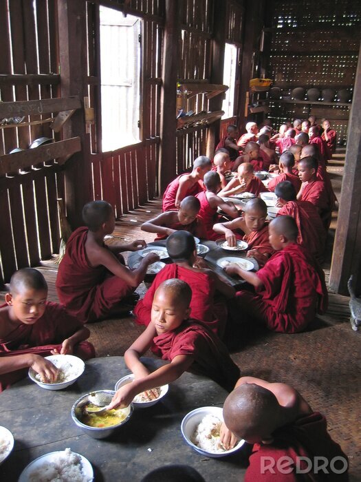 Canvas jonge monnik eten samen in hun tempel, myanmar