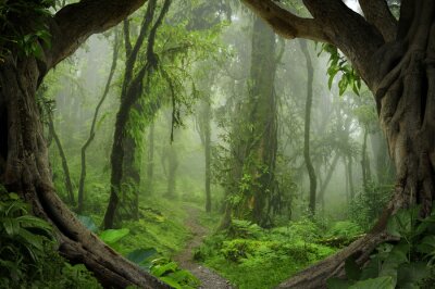 Jungle 3D bomen