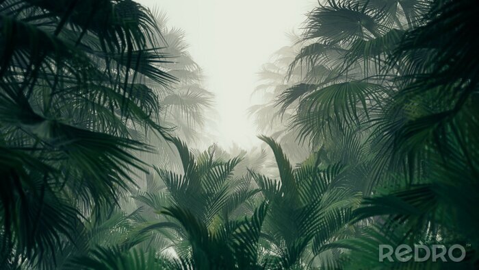 Canvas Jungle bladeren in de mist