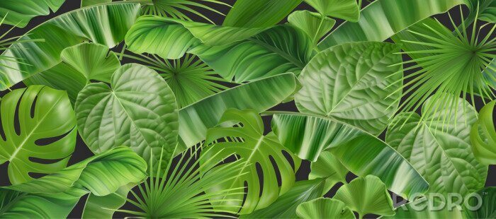 Canvas Jungle gebladerte naadloze patroon, 3d vector realistische achtergrond