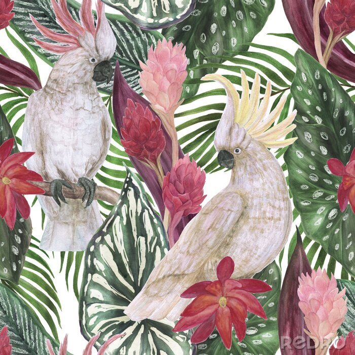 Canvas Kaketoe papegaaien en bladeren