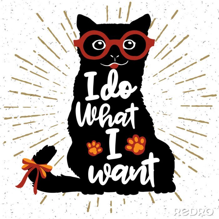 Canvas Kattenafbeeldingen met letters