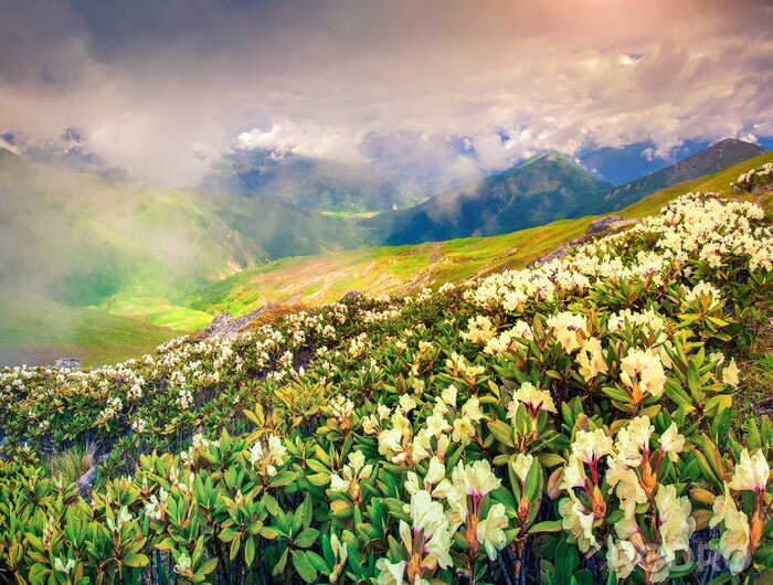 Canvas Kaukasische natuur