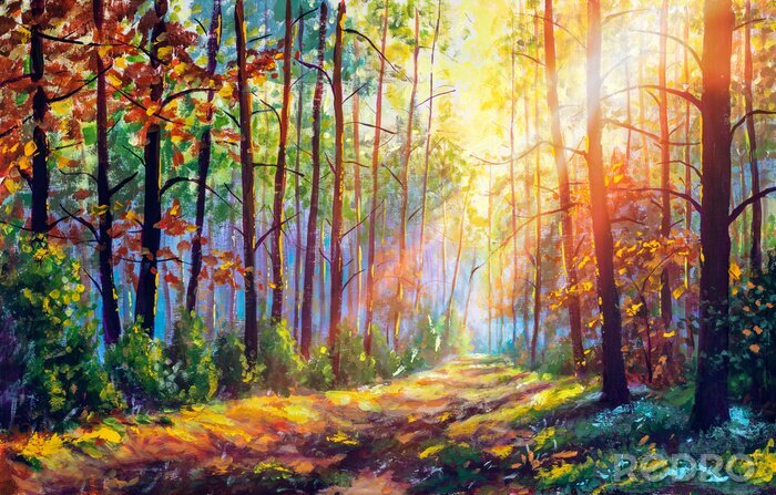 Canvas Kleurrijk bos