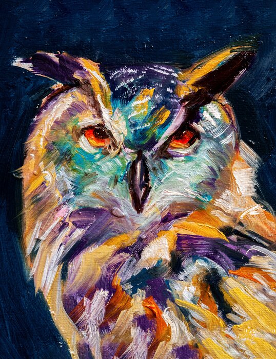 Canvas Kleurrijk geschilderde uil